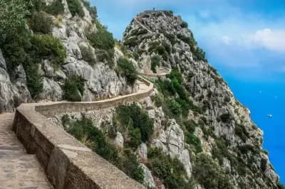pic-des-singes-bejaia-i0