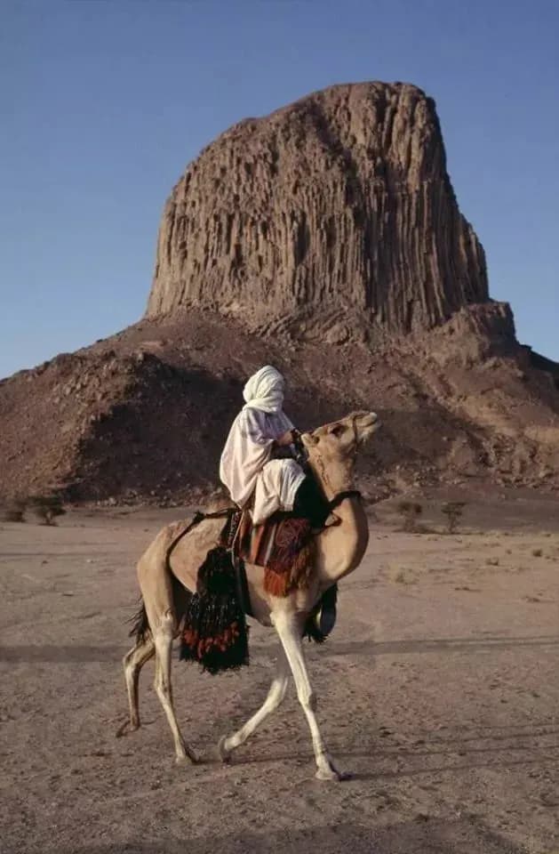 Hoggar et Tassili, joyaux du Sahara