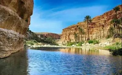 les-balcons-de-ghoufi-biskra-i0