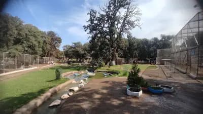 parc-animalier-de-kissir-a-el-aouana-jijel-i0