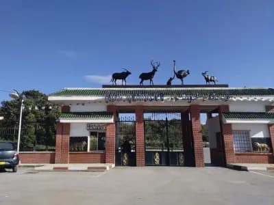 parc-animalier-de-kissir-a-el-aouana-jijel-i2