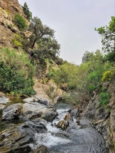 cascade-el-kerrach-blida-i1