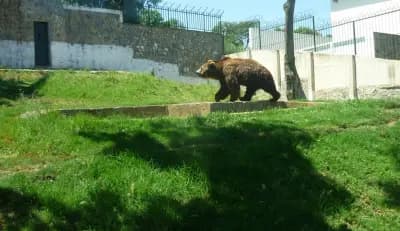 parc-national-de-taza-jijel-i0