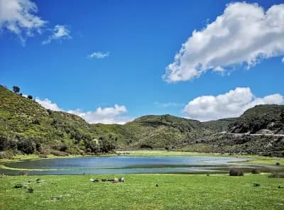 parc-national-de-chrea-blida-i4