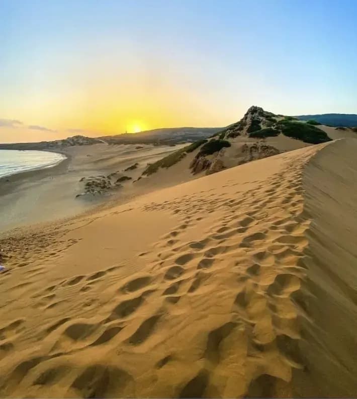 Cap IVI | mostaganem
