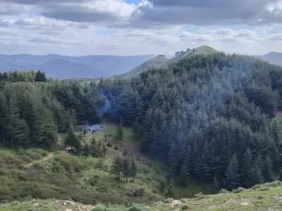tazarine-perle-naturelle-de-blida-blida-i3