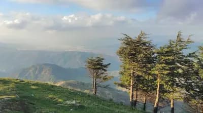 tazarine-perle-naturelle-de-blida-blida-i4