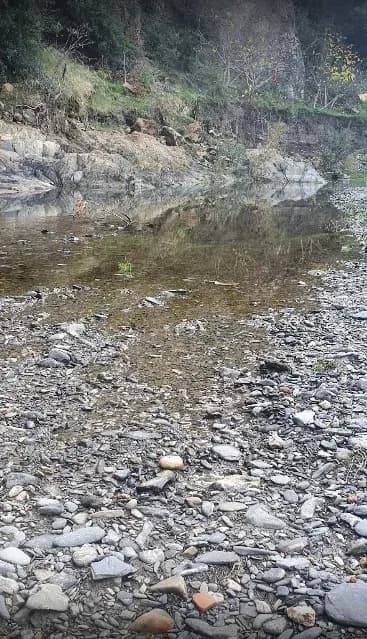 oued-bouserdina-blida-i1