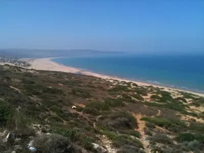 plage-bosquet-mostaganem-i1