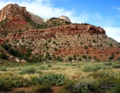 parc-culturel-du-tassili-djanet-i0