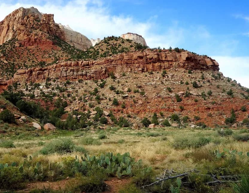 Parc culturel du Tassili