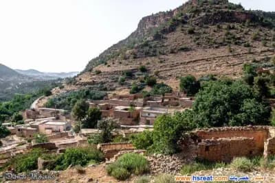 ain-fezza-tlemcen-i0