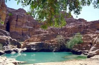 iherir-oasis-sauvage-du-tassili-djanet-i0
