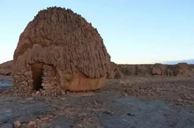 iherir-oasis-sauvage-du-tassili-djanet-i3