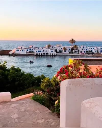 complexe-la-corne-dor-tipaza-i5