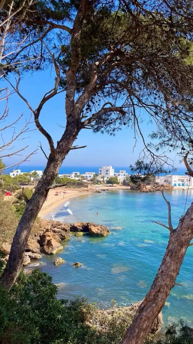 overview image