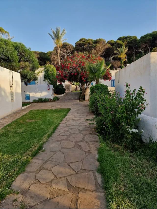 overview image