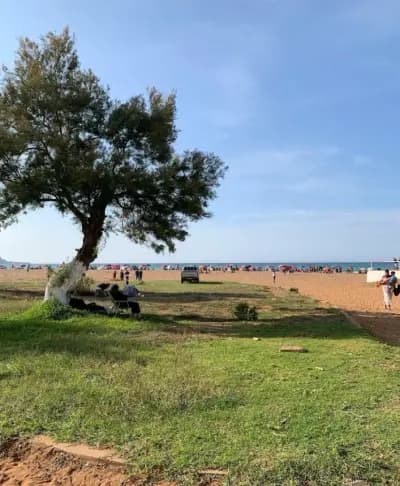 plage-crf-tipaza-tipaza-i0