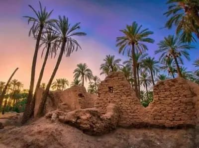kasbah-de-mlouka-adrar-i4