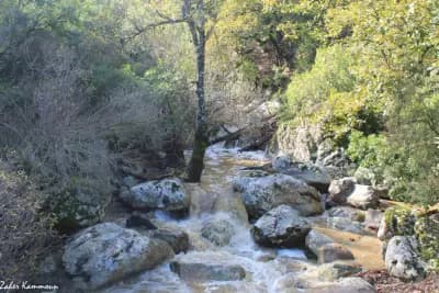 chutes-de-mouzangoug-jijel-i3