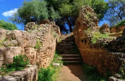 the-roman-ruins-of-tipasa-tipaza-i1