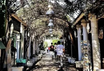 rue-pietonniere-de-tipasa-tipaza-i0