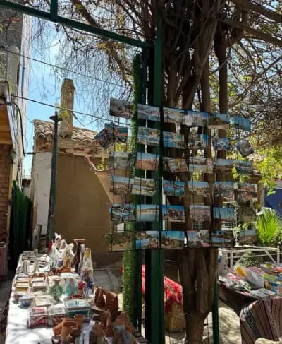 rue-pietonniere-de-tipasa-tipaza-i1