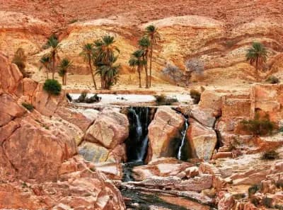 ain-zerara-ghardaia-i1