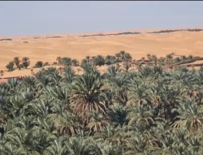 acces-aux-dunes-de-sable-timimoun-i1