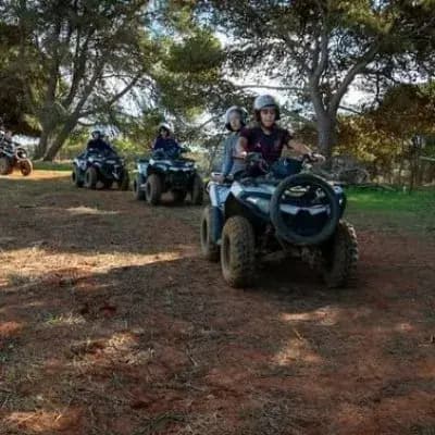 quad-tipaza-tipaza-i6