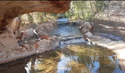 parc-aux-reptiles-daziz-hadj-issa-ghardaia-i0