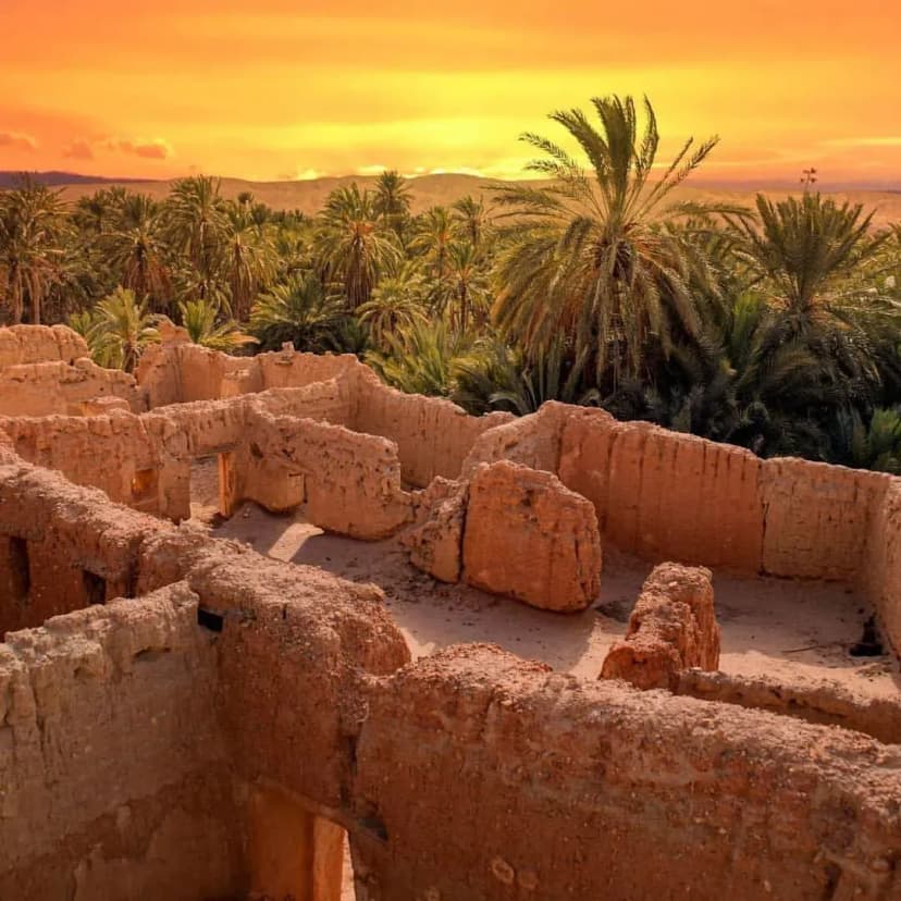 Les oasis et ksour de Negrine et Ferkane