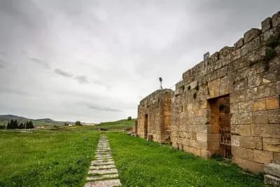 ruine-phenicien-souk-ahras-souk-ahras-i0