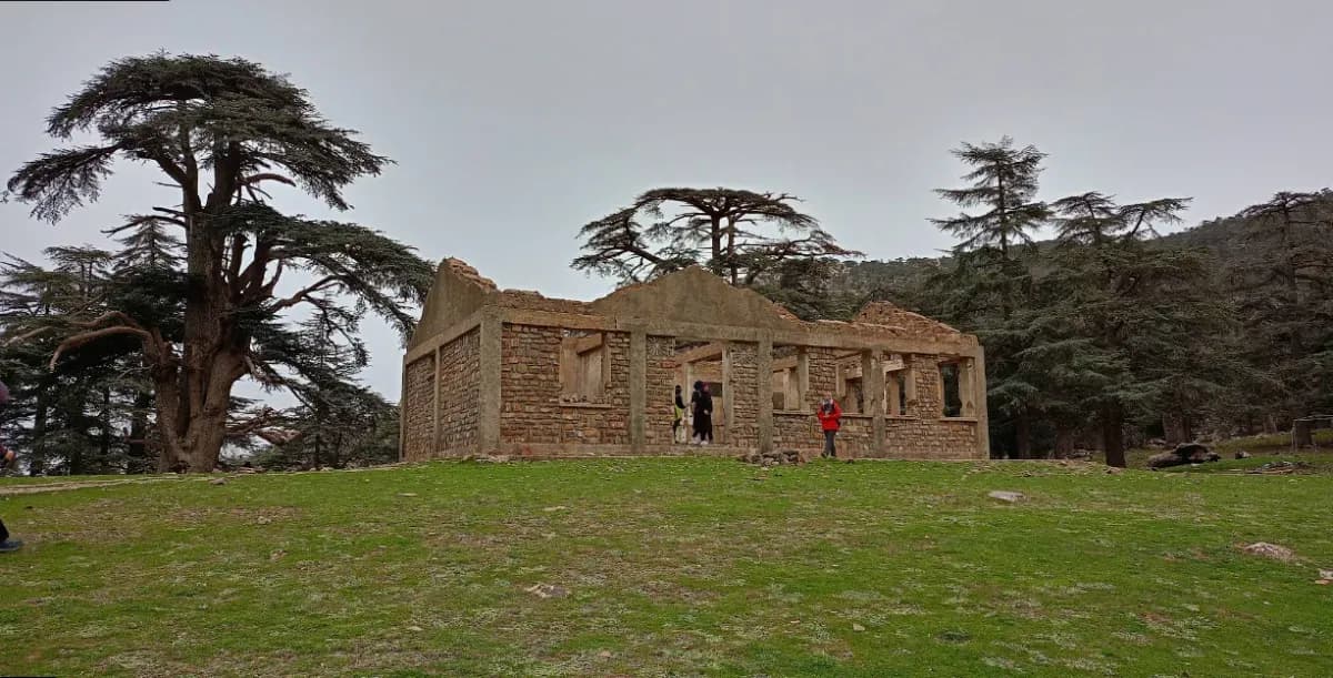 Tala Rana