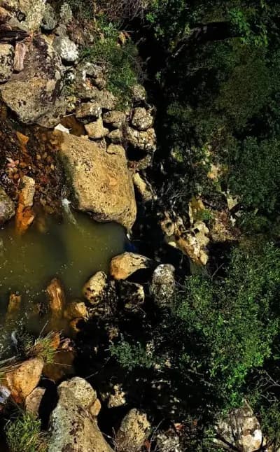 foret-machrouha-or-souk-ahras-souk-ahras-i3