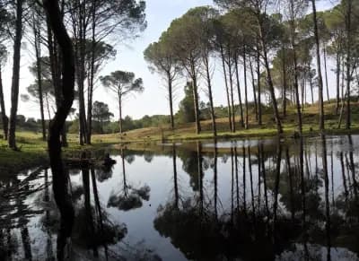 el-kala-national-park-el-tarf-i2
