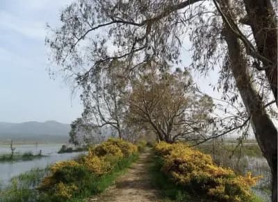 el-kala-national-park-el-tarf-i3