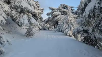 thabourth-el-anser-tizi-ouzou-i0