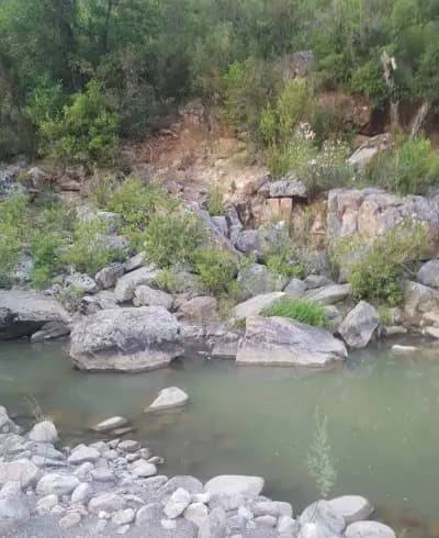 bougous-ecrin-naturel-del-tarf-el-tarf-i0