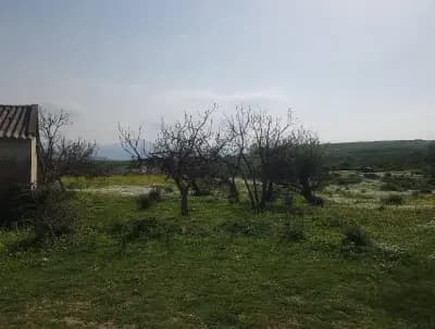 bougous-ecrin-naturel-del-tarf-el-tarf-i1