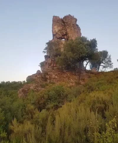 bougous-ecrin-naturel-del-tarf-el-tarf-i2