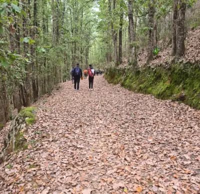 parc-etoual-el-tarf-i0