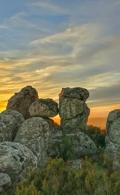 parc-etoual-el-tarf-i3