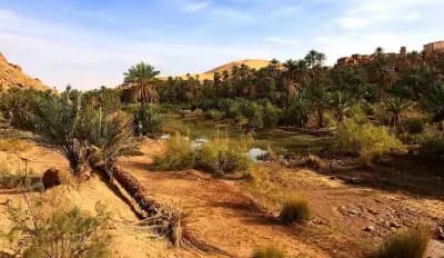 loasis-de-taghit-bechar-i0