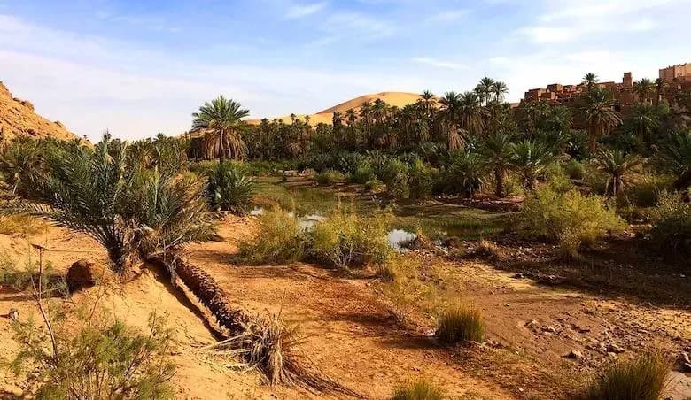 L’Oasis de Taghit