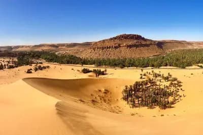 loasis-de-taghit-bechar-i1