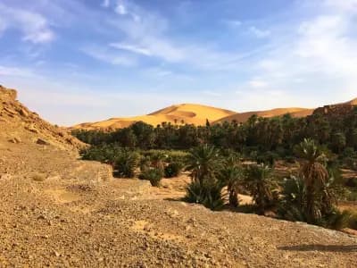 loasis-de-taghit-bechar-i2