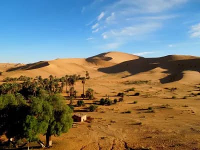 loasis-de-taghit-bechar-i3
