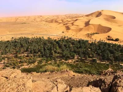 loasis-de-taghit-bechar-i4