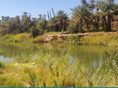 loued-zousfana-bechar-i7
